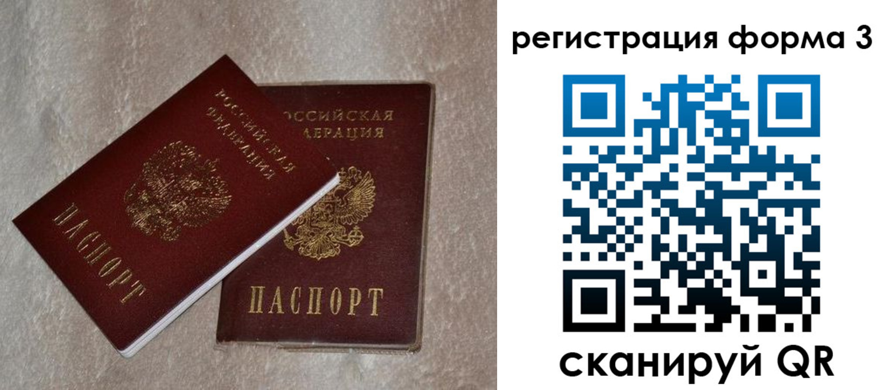 где прописаться в Стародубе