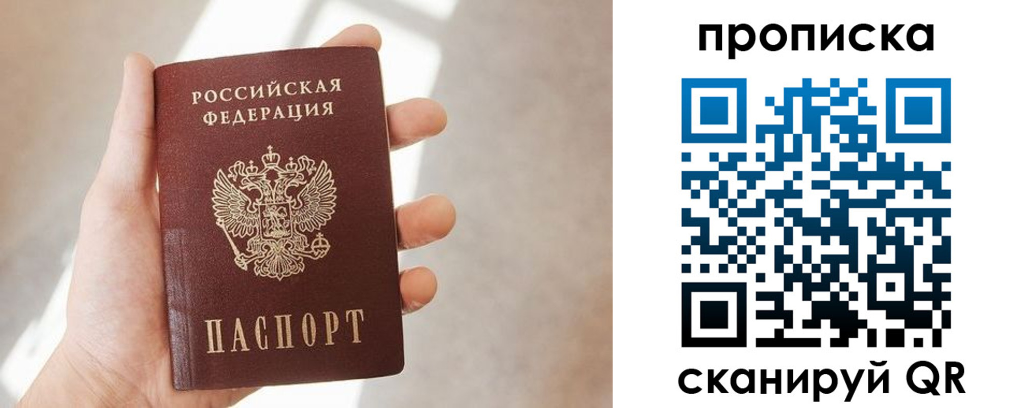 где прописаться в Стародубе